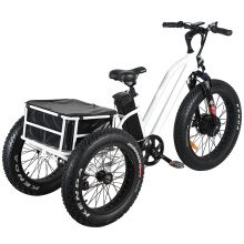 Hot Sale Pedal Assisted Electric Tricycle for Shopping